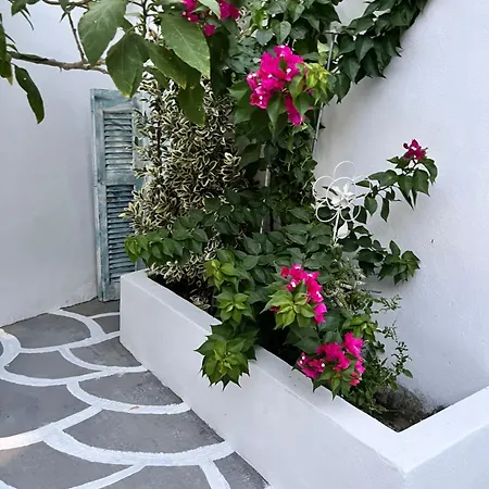 ευχάριστο εξοχικό σπίτι! Holiday home Agiakampos (Volos)